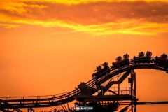 Magic Mountain - 2015