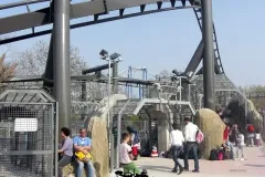 Raptor - 2011