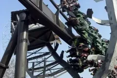 Raptor - 2011