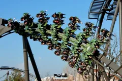 Raptor - 2011