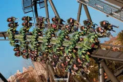 Raptor - 2011