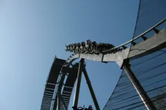 Raptor - 2011