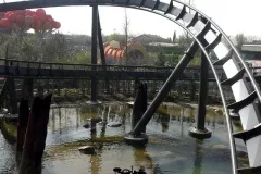 Raptor - 2011