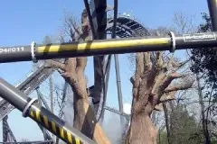 Raptor - 2011
