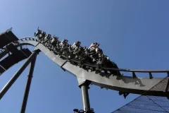Raptor - 2011