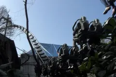 Raptor - 2011