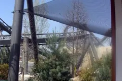 Raptor - 2011