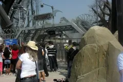 Raptor - 2011