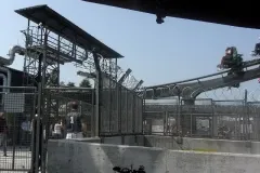 Raptor - 2011