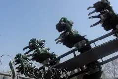 Raptor - 2011