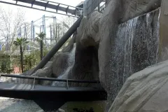 Raptor - 2011