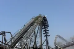 Raptor - 2011