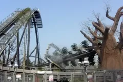 Raptor - 2011