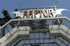 Raptor - 2011