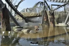 Raptor - Realizzazione Biolago