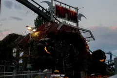 Raptor - Magic Halloween - 2018