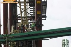 Scalata sequoia adventure - 2009