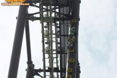 Scalata sequoia adventure - 2009