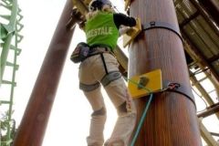 Scalata sequoia adventure - 2009