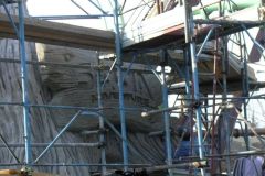 Sequoia adventure - Costruzione Scenografia