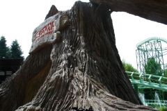 Sequoia adventure - 2005