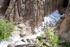 Sequoia adventure - 2005