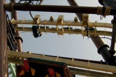 Sequoia adventure - 2005