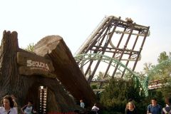 Sequoia adventure - 2005