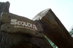 Sequoia adventure - 2005