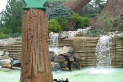 Sequoia adventure- 2006