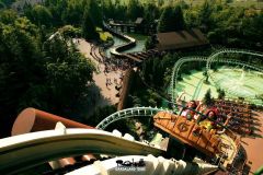 Sequoia adventure- 2006