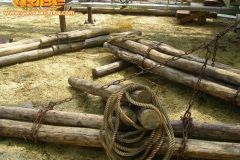 Sequoia adventure- 2006