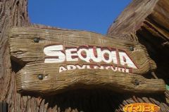 Sequoia adventure- 2006
