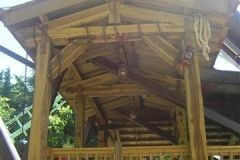 Sequoia adventure- 2006