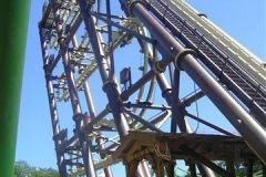 Sequoia adventure- 2006