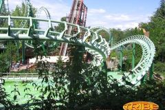 Sequoia adventure - 2007