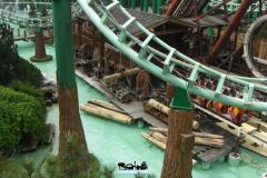 Sequoia adventure - 2008