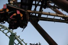 Sequoia adventure - 2009