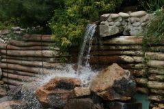 Sequoia adventure - 2011