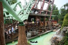 Sequoia adventure - 2011