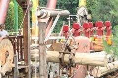 Sequoia adventure - 2011