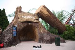 Sequoia adventure - 2011