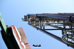 Sequoia adventure - 2011