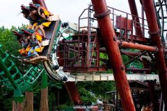 Sequoia adventure - 2016