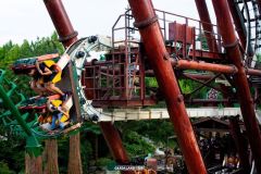 Sequoia adventure - 2016