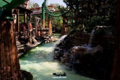 Sequoia adventure - 2018