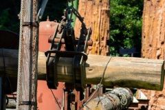 Sequoia adventure - 2018