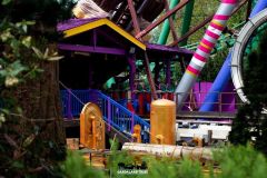 Sequoia magic loop - 2019