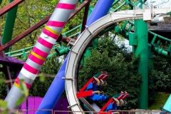 Sequoia magic loop - 2019