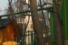 Top Spin - Manutenzione